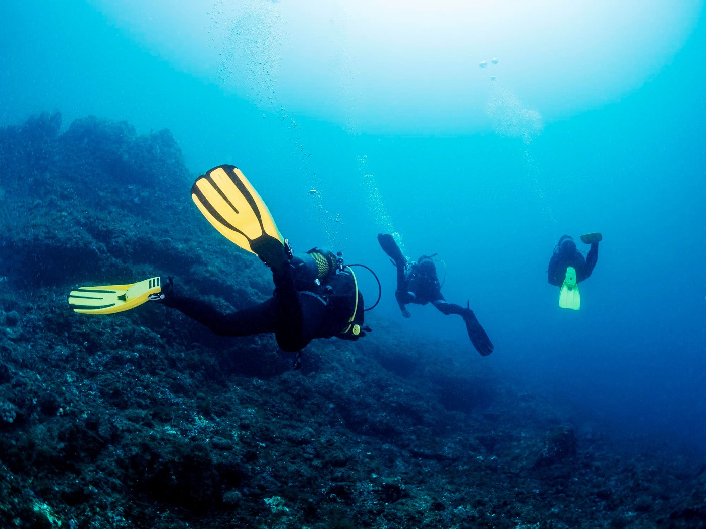 Proyecto Karaya Dive Center